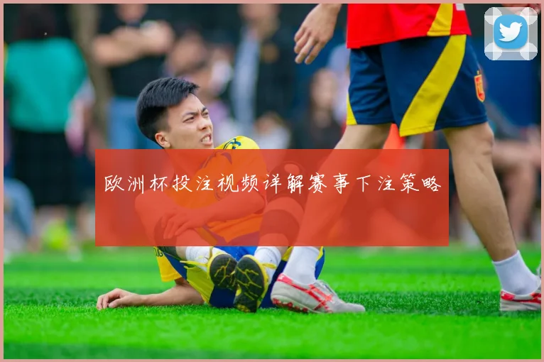 欧洲杯投注视频详解赛事下注策略