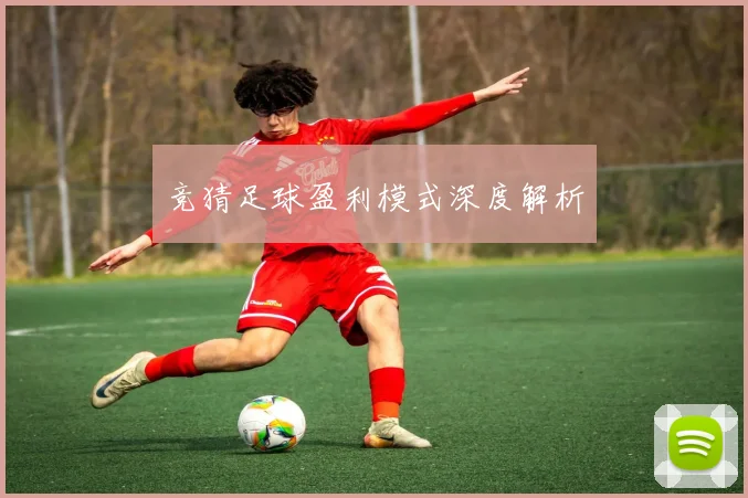 竞猜足球盈利模式深度解析